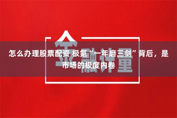 怎么办理股票配资 极氪“一年磨三剑”背后，是市场的极度内卷