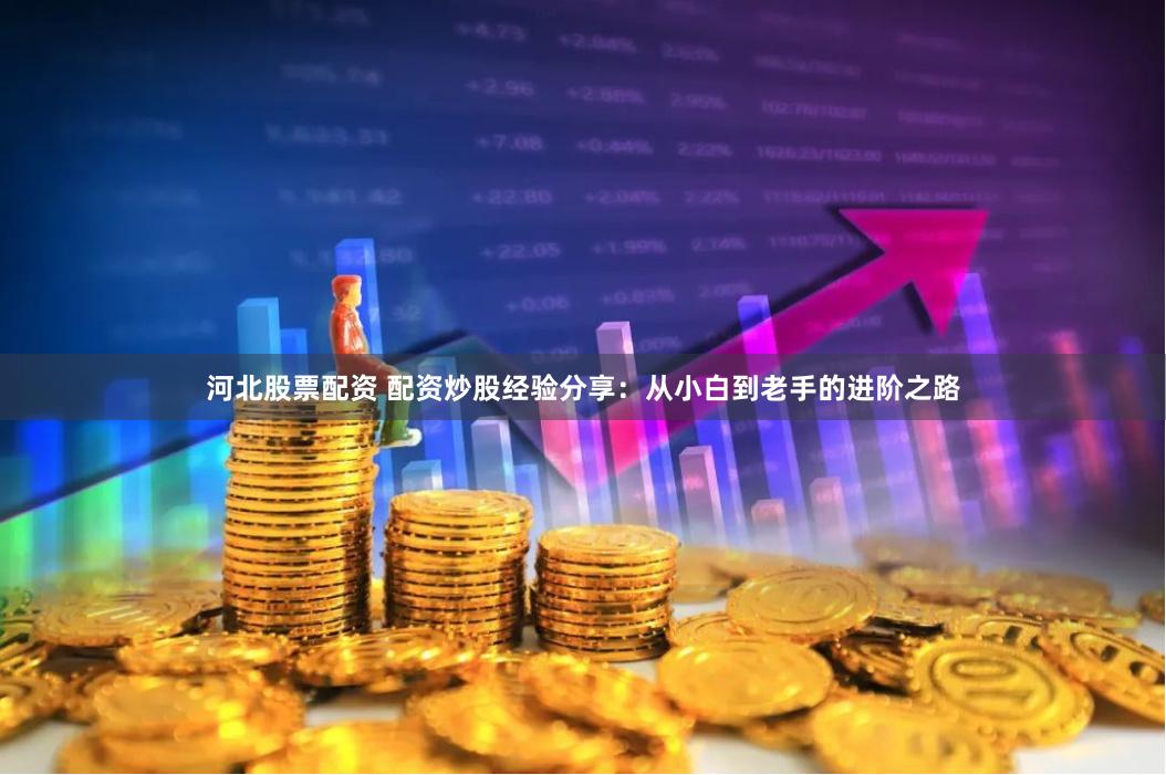 河北股票配资 配资炒股经验分享：从小白到老手的进阶之路