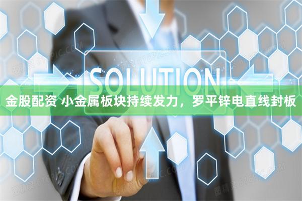 金股配资 小金属板块持续发力，罗平锌电直线封板